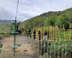 High Rope