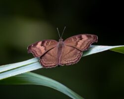 c02e6194-d729-4678-a6b0-2359980c939e